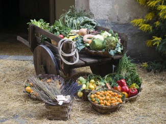 cart laden with vegetables and fruit