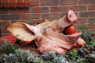 A pig's head - part of a feasting table