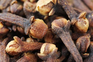 Cloves used to make beef and red wine stew