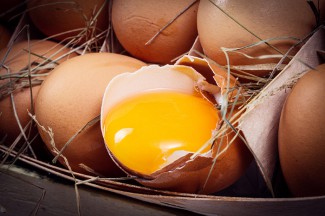 egg yolks for elderflower chicken dish