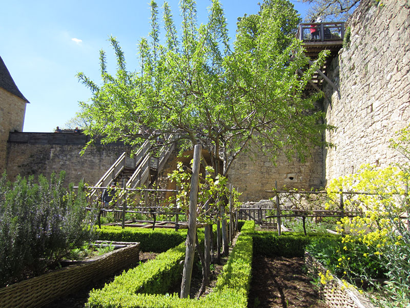 Medieval castle gardens example